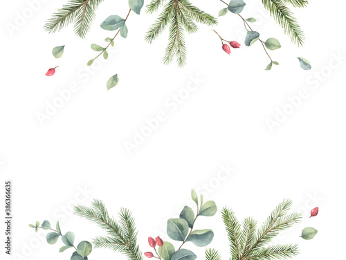 Watercolor vector Christmas card with fir branches and eucalyptus leaves.