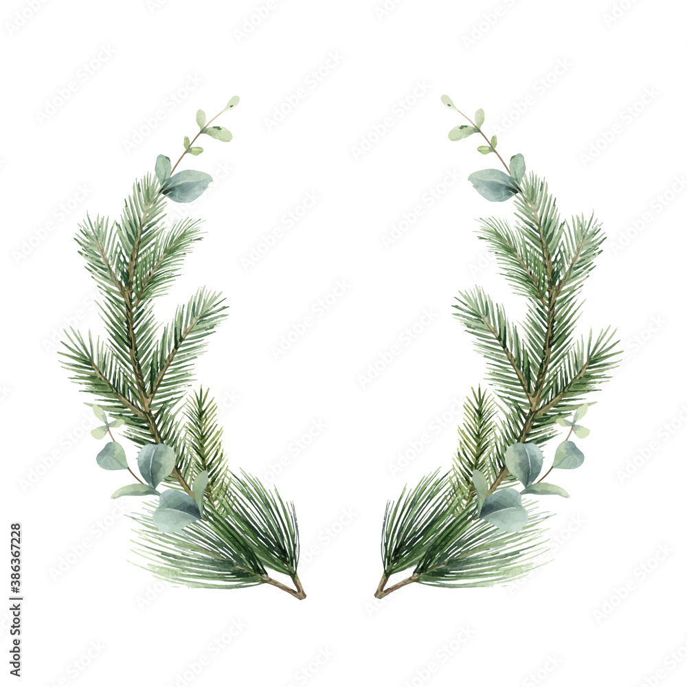 Watercolor vector Christmas wreath with fir branches and eucalyptus.