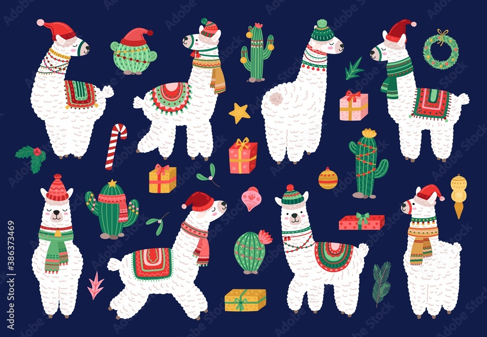 Fototapeta premium Christmas alpaca. Funny winter llama, holiday cute exotic animals. Scandinavian lama and cactus, cartoon kids wildlife characters vector set. Illustration christmas alpaca, llama cute