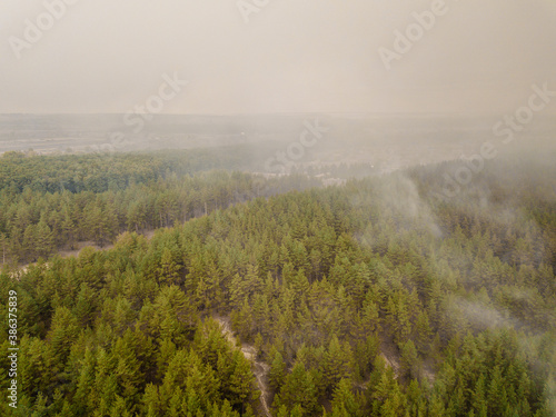 Top view of huge clouds of smoke in green forest