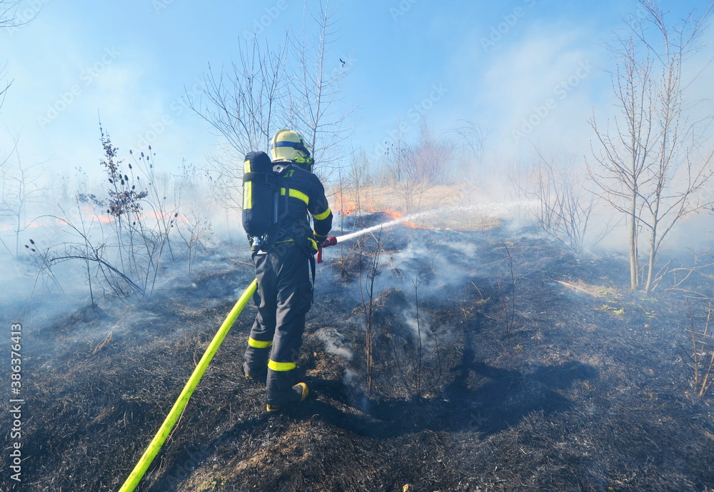 A firefighter on burnt surface extinguish a fire of dry grass and bushes with water from a hose with smoke and flames and A firefighter on burnt surface extinguish a fire of dry grass and bushes with water from a hose with smoke and flames and