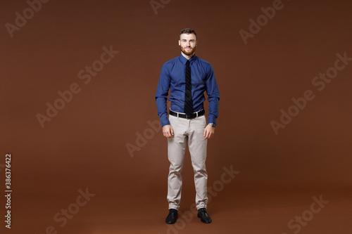Full length of smiling confident successful young business man wearing blue shirt tie looking camera isolated on brown colour background studio portrait. Achievement career wealth business concept.