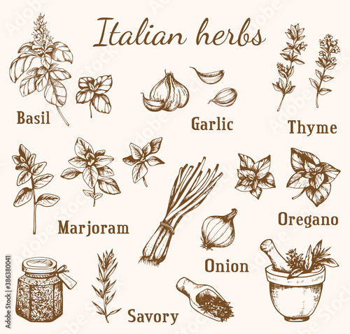 Italian spices and herbs.
