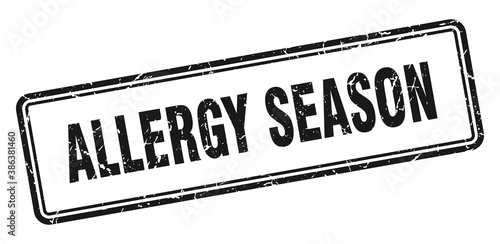 allergy season stamp. square grunge sign on white background