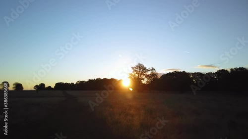 Wallpaper Mural Beautiful autumn sunrise over a meadow in the great nature reserve Dyrehaven in Klampenborg, north of Copenhagen, Denmark. Handheld footage, records the beautiful sunrise over the big old oak trees.  Torontodigital.ca