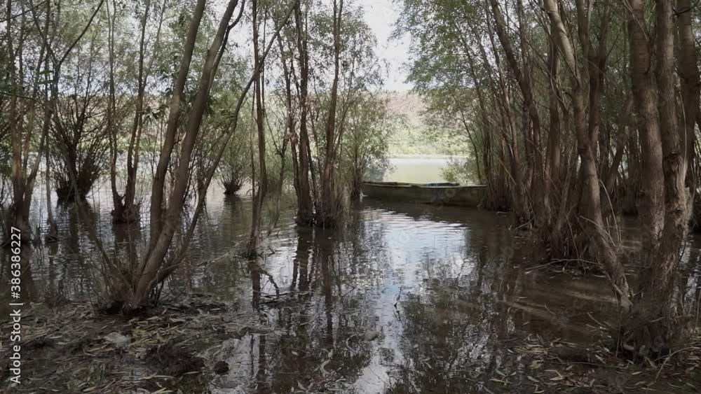 River And Old Metal Rowing Fishing Boat ancored between trees. High water. River And Old Metal Rowing Fishing Boat ancored between trees. High water.