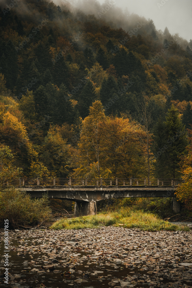 Moody and Toned Image of Bridge over Mountains Creek in Autumnal Woodlands. Dramatic Weather Moody and Toned Image of Bridge over Mountains Creek in Autumnal Woodlands. Dramatic Weather