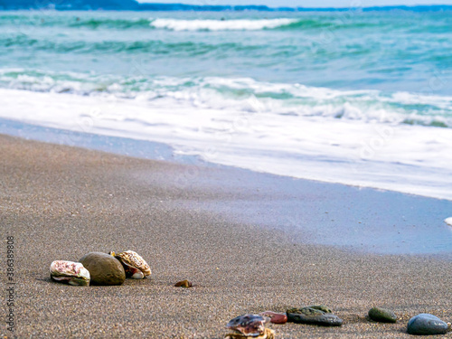 【神奈川県 江ノ島】砂浜と貝殻