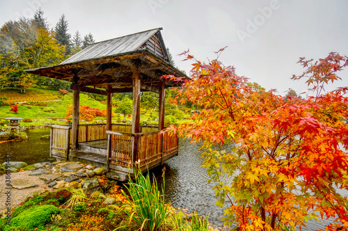 japanese garden in autumn rain