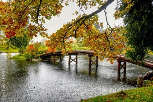 bridge in autumn park japanese 