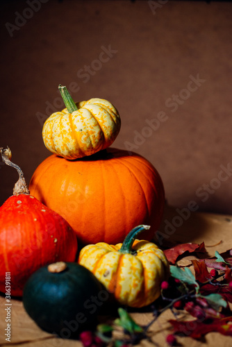 Bright pumpkins on the table on craft paper