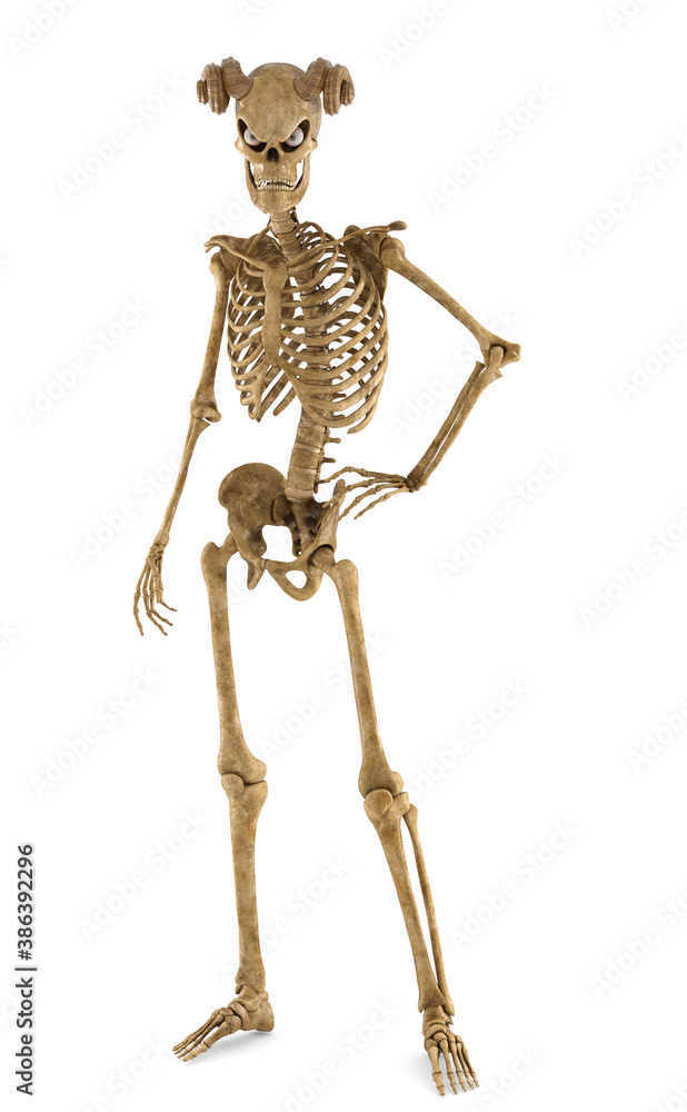 Skeleton on standby Skeleton on standby