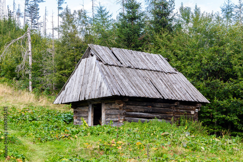 Traditional Polish highlander style wooden shepherd hut on a clearing, among pine trees in Koscieliska Valley in Tatra Mountains, Poland