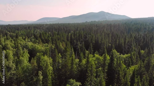 Forests and mountains of the Southern Urals near the village of Tyulyuk in Russia. Drone view. photo