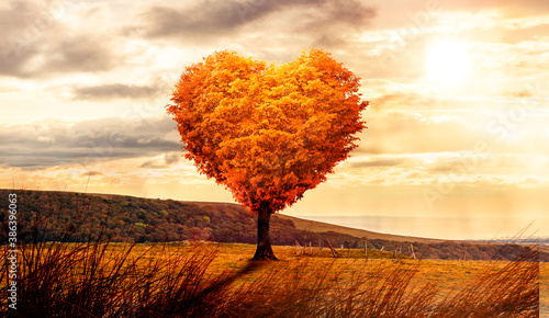 Baum in Herzform in einer surrealen Landschaft bei Sonnenuntergang