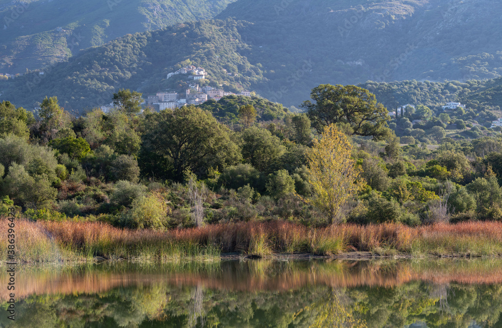 Autumn vegetation reflecting in the lake with the small village of Oletta in the background Autumn vegetation reflecting in the lake with the small village of Oletta in the background