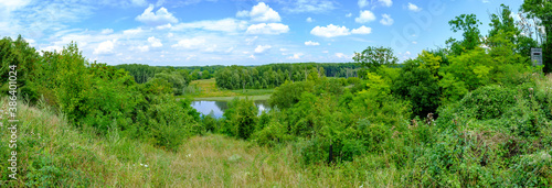 riverside forest in the austrian national park donauauen near maria ellend, lower austria photo