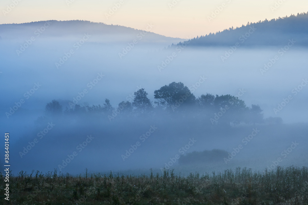 Beautiful blue fog in the morning. Foggy view with trees. Hills of the Beskids, Poland.