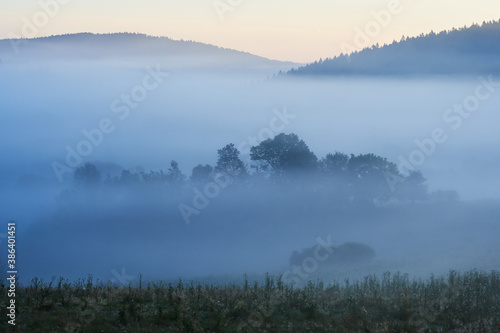 Beautiful blue fog in the morning. Foggy view with trees. Hills of the Beskids, Poland.