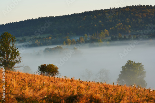 Fototapeta Naklejka Na Ścianę i Meble -  Beautiful fog in the morning. Trees covered in clouds. Hills in the Beskids, Poland.