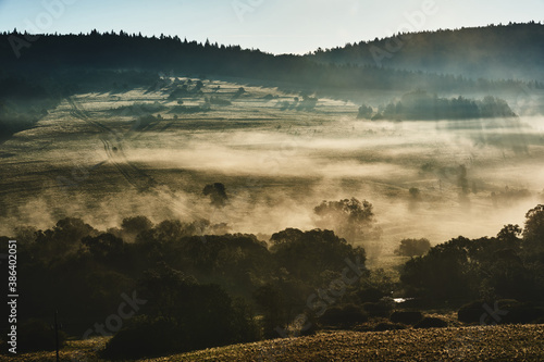 Fototapeta Naklejka Na Ścianę i Meble -  Fog surrounds meadows an hills in the morning. Path leading over the hill. Hills in the Beskids, Poland.