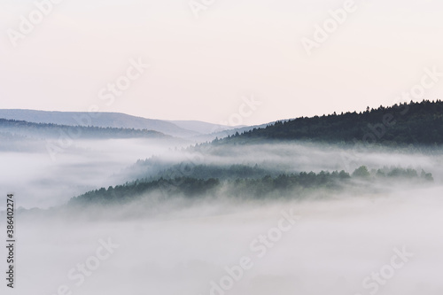 Fototapeta Naklejka Na Ścianę i Meble -  Panoramic view of forest obscured with dense fog. Morning mist in the Beskids, Poland.