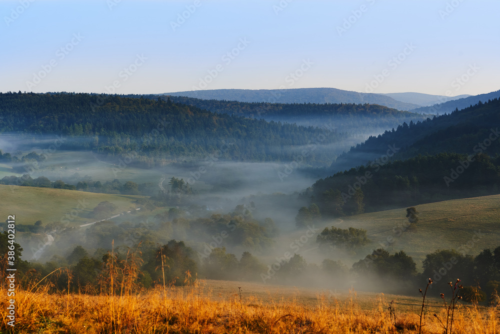 Viev of beautiful fog in the morning. Trees in the shadow of the fog. Beautiful landscape of the Beskidy mountains, Poland.
