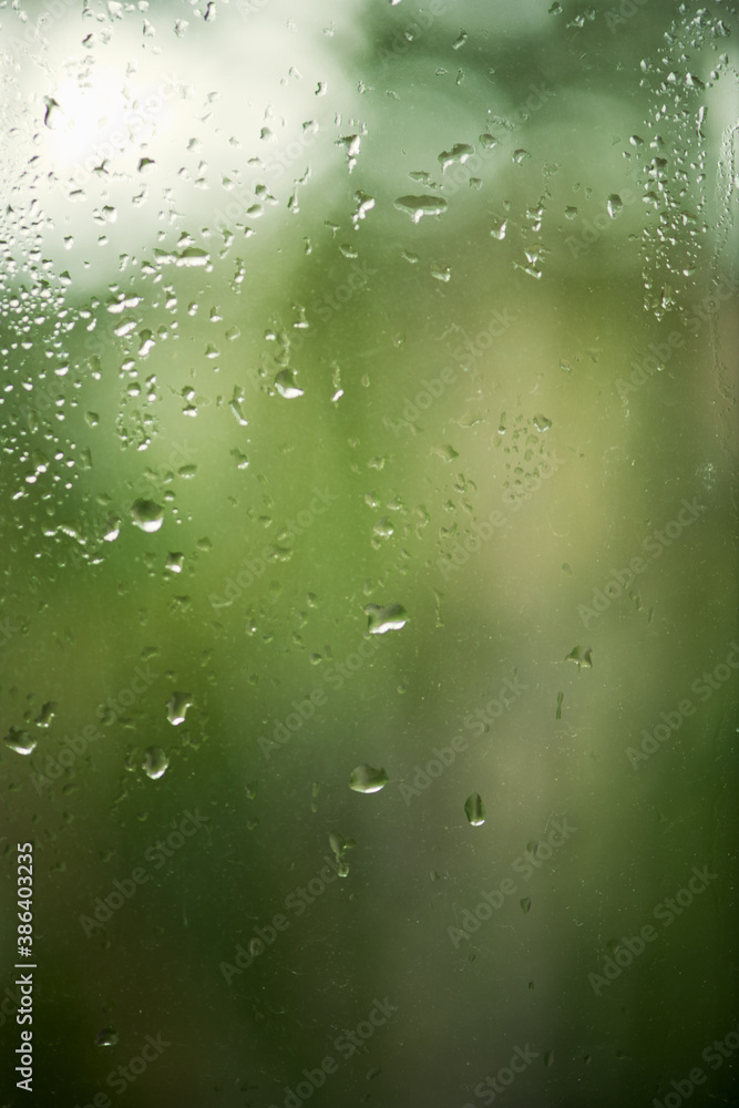 Rain drops on window with green tree in background