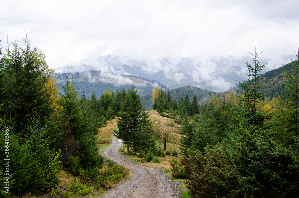 Fototapeta premium Autumn landscape in the mountains with a fog. Carpathian Mountains, Ukraine.