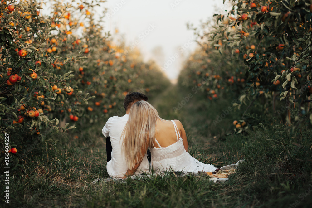 Autumn picnic. Woman in white dress and man in white shirt are having picnic in apple garden. Back view.