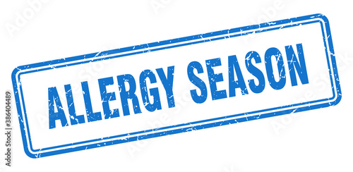 allergy season stamp. square grunge sign on white background