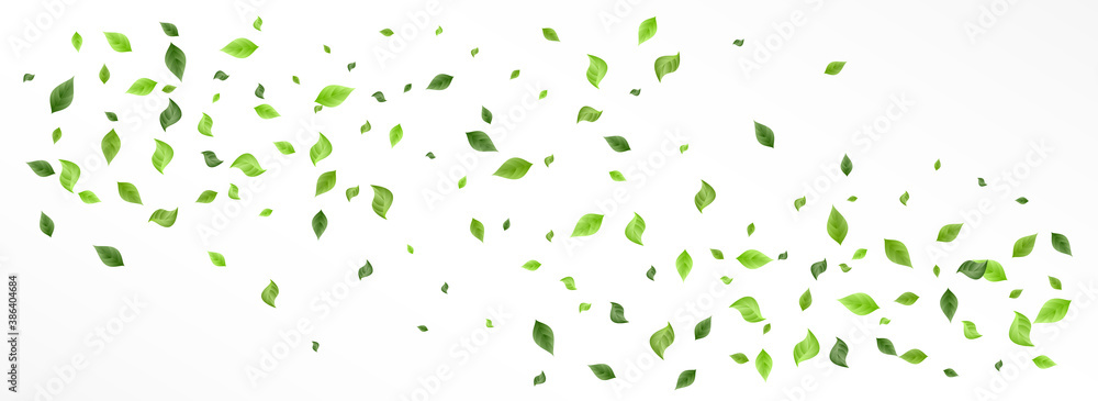 Green Leaves Tree Vector Panoramic White 