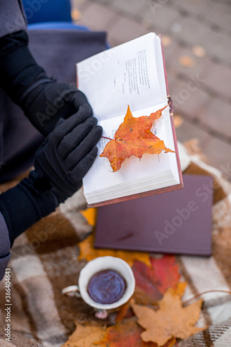 Woman sits near a tree in an autumn park and holds a book and a cup with a hot drink in her hands. Girl reading a book. Fall season, leisure time and tea time concept.