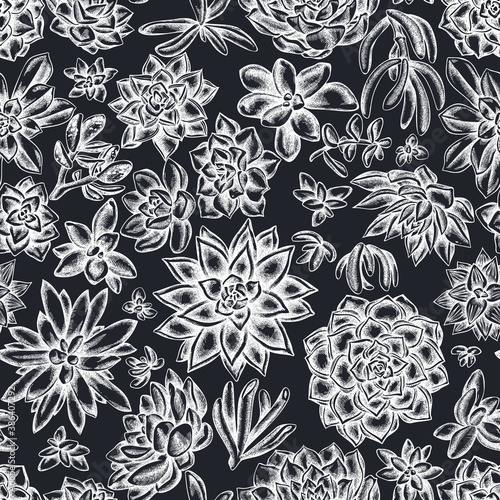 Seamless pattern with hand drawn chalk succulent echeveria, succulent echeveria, succulent