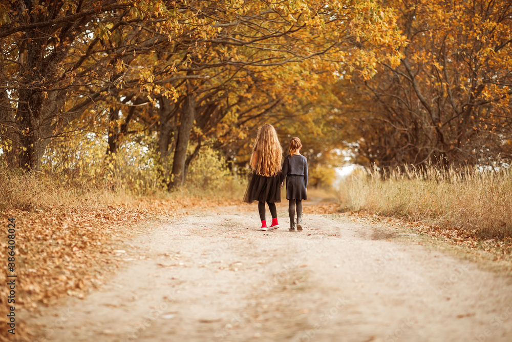 Two teenage girls walk along a forest road in the warm autumn. Two teenage girls walk along a forest road in the warm autumn.