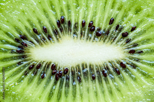Beautiful slice of fresh and juicy kiwi