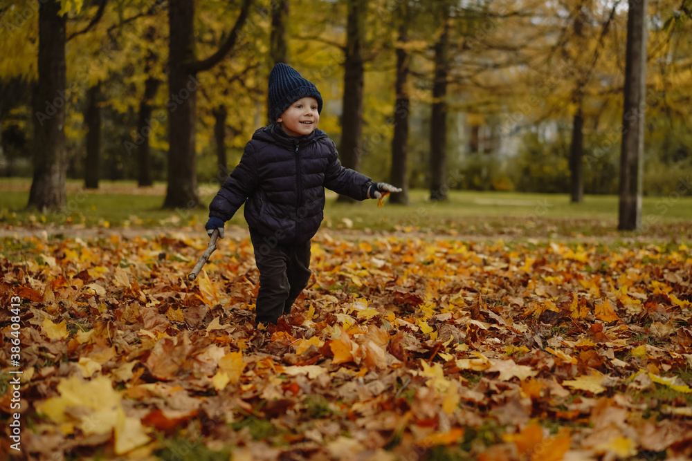 Cute little boy with happy smiling face wearing dark blue jacket and knit beanie running along autumn park. The ground is covered with yellow fallen leaves. Image with selective focus