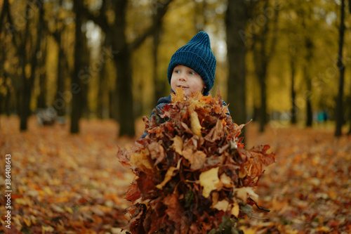 adorable three year old caucasian boy wearing warm blue jacket and hand knit beanie sitting on the ground in park with a heap of yellow fallen leaves in his hands