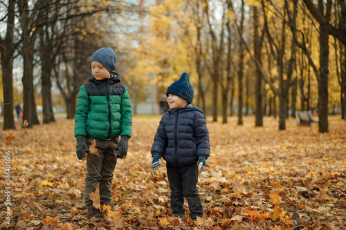 cute smiling caucasian boys having fun walking in a park on autumn day. Ground is covered with yellow leaves. Image with selective focus