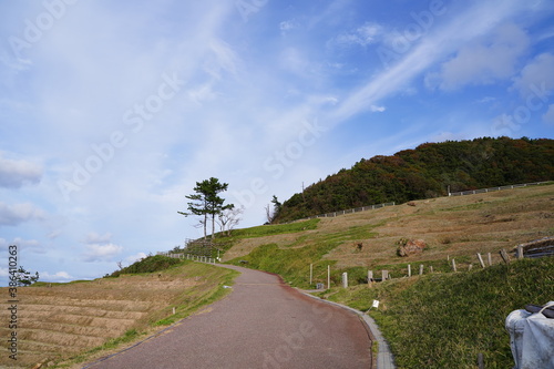 Terraced field called 