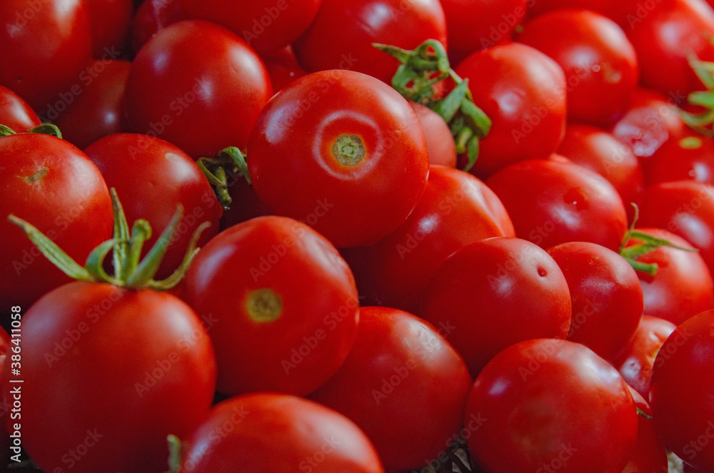 red tomatoes background. Group of tomatoes red tomatoes background. Group of tomatoes