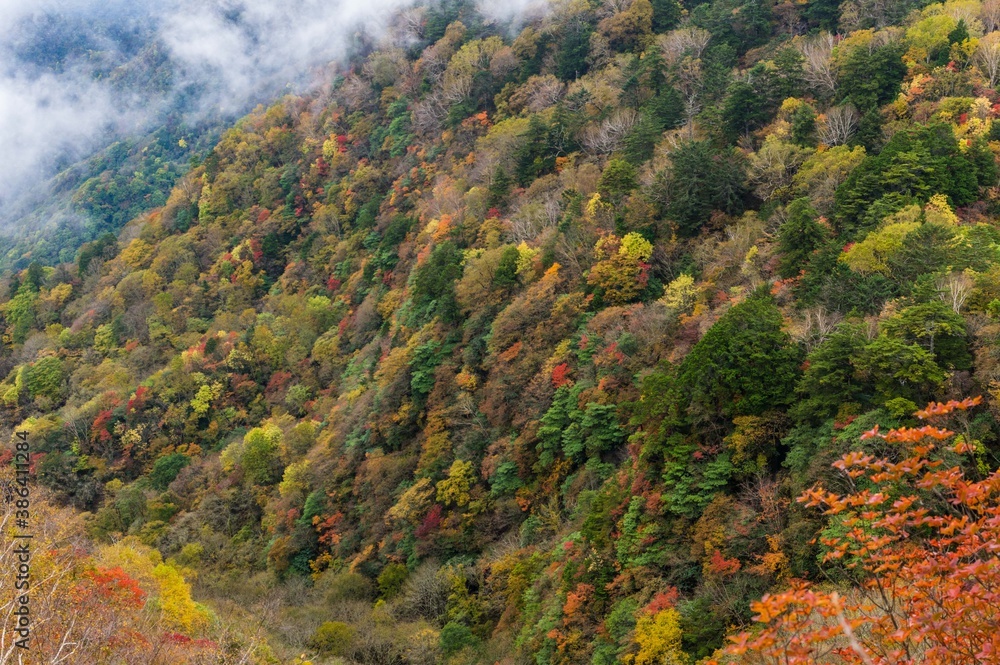 日本百名山　秩父両神山の景色