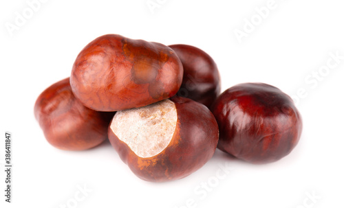 Horse chestnuts fruits, isolated on white background. Aesculus hippocastanum.