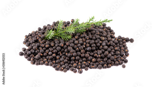 Dry juniper berries with green branch, isolated on white background. Common Juniper fruits.