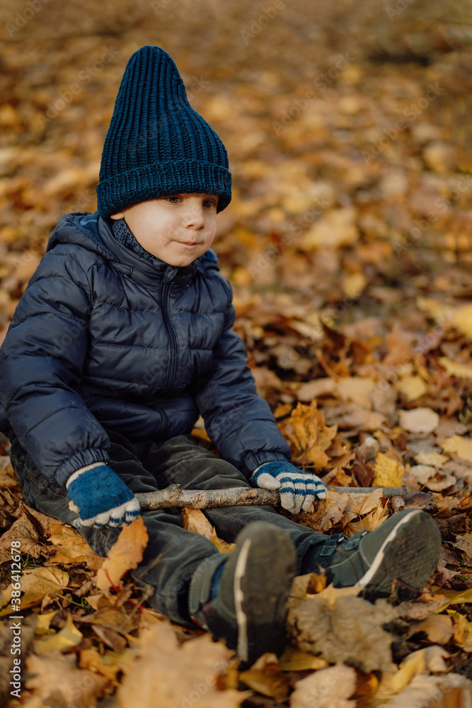adorable three year old caucasian boy sitting on the ground covered with yellow fallen maple leaves in park with a stick in hands adorable three year old caucasian boy sitting on the ground covered with yellow fallen maple leaves in park with a stick in hands