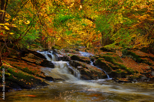 Autumn colour with the river at the Birks of Aberfeldy in Perthshire, Scotland.