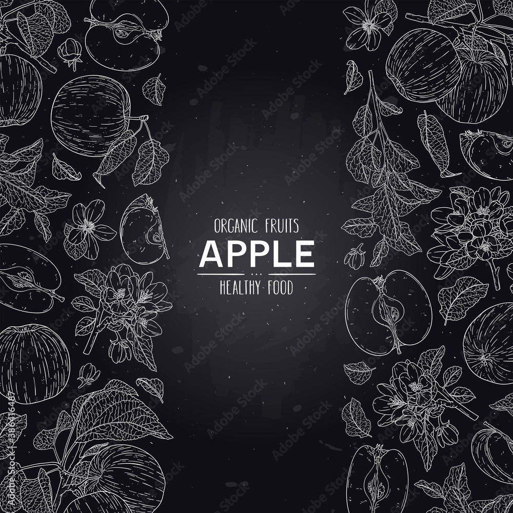 Vector chalkboard style fruits frame with apple Vector chalkboard style fruits frame with apple