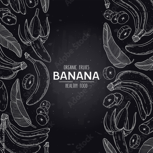 Vector hand drawn tropical frame with organic banana