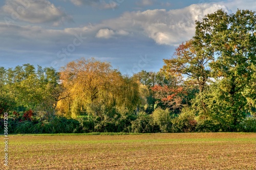 Paysage d'automne.