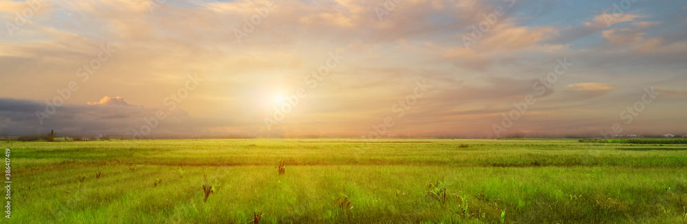 A serene and beautiful rural landscape view in the early summer mornings after sunrise.
